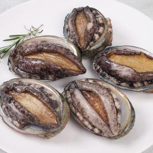 [산지직송]대사이즈 완도 활전복 1kg(13-14미) 산소포장