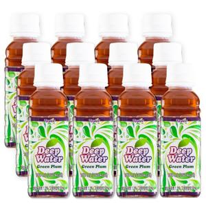 [테일러팜스 공식] 딥워터 매실180ml x 12병