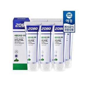 [2080]2080 자일리톨 치약 애플민트향 100g x6개