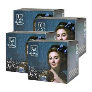 살롱 컬러 아트 갤러리 5.3 초코 브라운X4개/염색약 새치커버 셀프