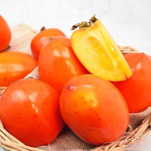 [더조은] 영암 산지직송 대봉감 10kg(31-35과)