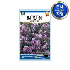 알릿섬 로얄카펫 씨앗 100립 . 알리섬 보라색 야생화 꽃 텃밭 식물 꽃씨 종자.