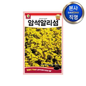암석 알리섬 씨앗 100립 .알릿섬 바위냉이 다년생 노란색 꽃 노지월동 꽃씨 종자.