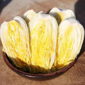 일년농사 해남 절임배추 20kg 6~10포기