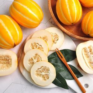 [푸르젠 참외] 성주 참외 프리미엄 가정용 2kg 꼬마소과 (7~18과)