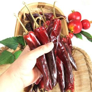 [산정마을]국내산 태양초 건고추 1근