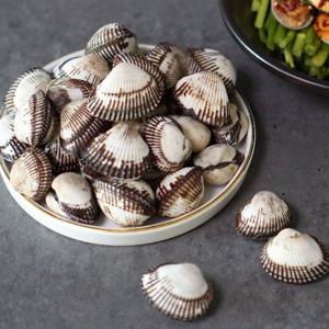 당일조업 벌교 새꼬막 2kg 대(150-170미 내외)