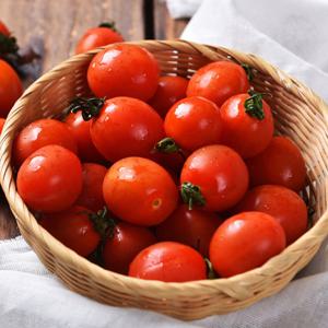 [스테비아토마토] 스윗 스테비아 대추방울단마토 2kg (500g*4팩)