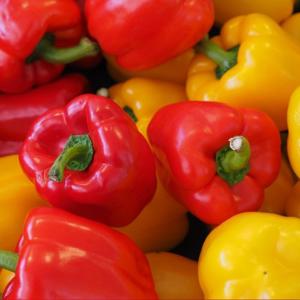 [딜픽][경매직송]못난이 파프리카 2kg 랜덤2색상(빨/주/노)