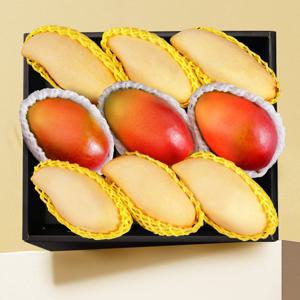 [스윗베러] 망고 혼합 9과 선물세트 3.2kg내외 (골드 6과, 애플 3과)