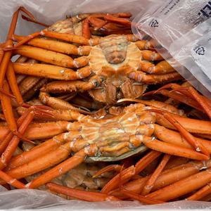 [팜쿡] 후포리 S급 프리미엄 자숙홍게 7-10미내외 자숙전3kg 수율90%내외