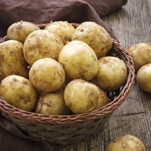 해남 포슬포슬 수미감자 특 5kg (130~180g 내외 경북 산지출고)