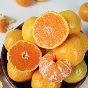 [맛군] 25년 새콤달콤 제철 노지감귤 9kg 중과 (M-L)