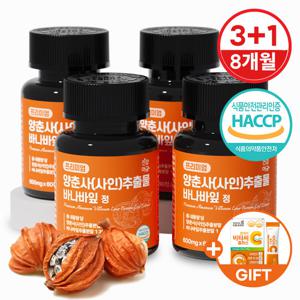 [건강머금] 양춘사 추출물 바나바잎 프리미엄 정 3+1병(8개월분) +비타씨