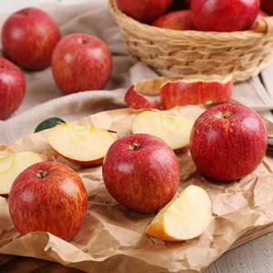 [열매나무] 당도선별 정품 한입사과 3kg 16-20과 꼬마