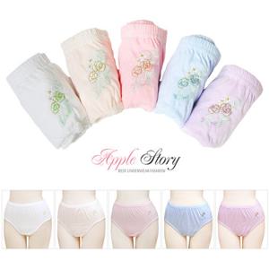(애플스토리)에셀리아1002맥시팬티5매