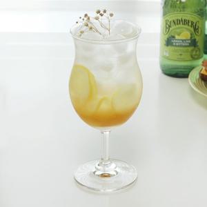 [단독구성] 오션 쿠바 에일 맥주잔 4P