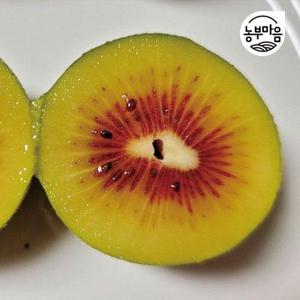 갤러리아_[농부마음]제주 레드키위 2kg 특대과(90g이상)