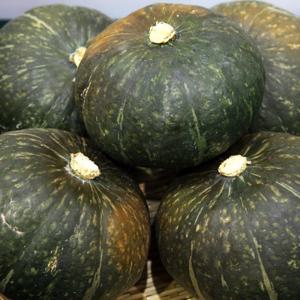 [산정마을]달콤한 단호박 5kg