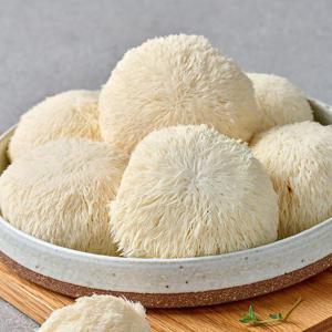 1차 수확한 노루궁뎅이버섯 1kg(12송이)