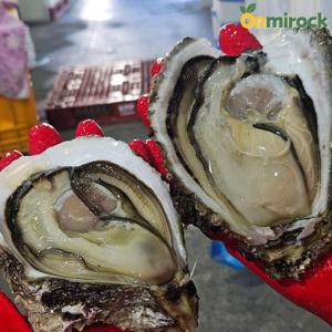 온미락 통영 굴 A급 바위굴 2kg(2-3개) 깐굴 생굴 당일채취 당일발송