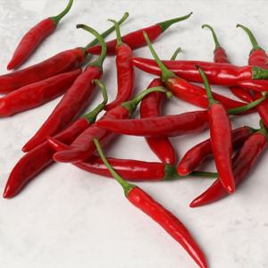 [우리가락]홍청양고추 500g