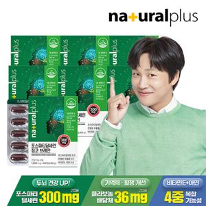 [내츄럴플러스] 포스파티딜세린 징코 브레인 60캡슐 7박스 / 기억력 인지력개선 비타민E 아연