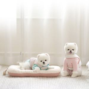 22FW 울리 경량 하네스 S, M, L