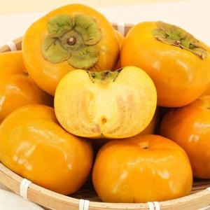 갤러리아_[착한식탁]아삭아삭 단감 5kg 대과