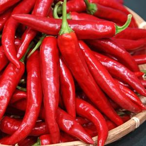 [산정마을]국내산 홍고추(특품) 2kg