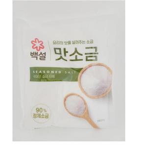CJ제일제당 백설 맛소금 500g x10개