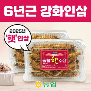 강화인삼농협 6년근 햇 수삼 1kg x 1박스