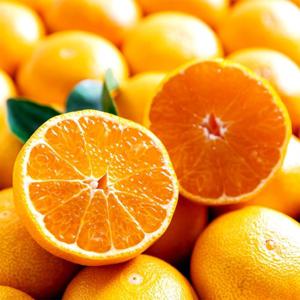 [잇츠푸드] 고당도 네이블 오렌지 20입(4.6kg내외)