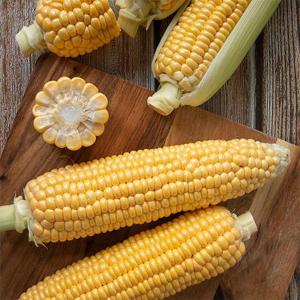 냉동 초당옥수수 20개입 상