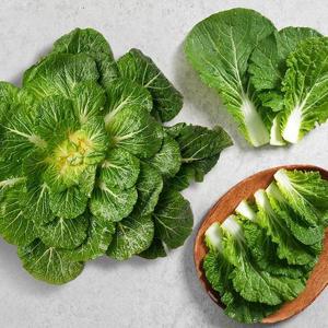 고흥 햇살담은 봄동 배추 2kg