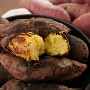 [산애농원]깨끗하게 씻은 달콤 해남 세척 고구마 5kg 특상