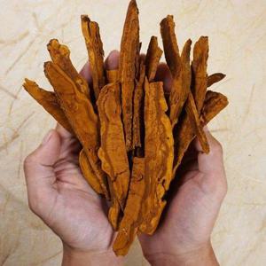 갤러리아_[버섯농부] 국내산 무농약 상황버섯 30g x 2개