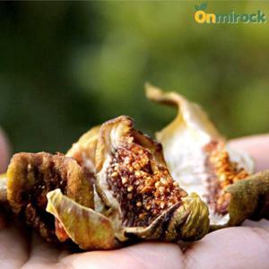 온미락 무농약 함평 무화과 말랭이 100g 2개 친환경인증 말린 무화과 건무화과