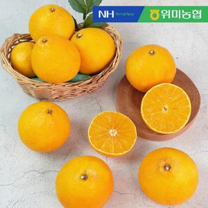 [위미농협] 제주직송 황금향 선물세트 5kg (15-27과)