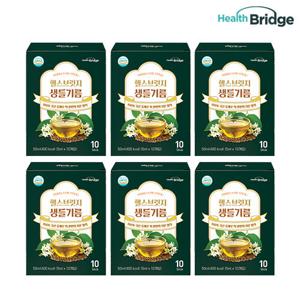 헬스브릿지 100% 국내산 생들기름 스틱 6박스 (박스당 5ml 10포)