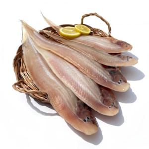 군산 반건조 박대 4미 왕특대 1미180g급 황금박대 진공포장  원양어선