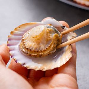 국내산 홍가리비 3kg(60-66미 내외)