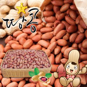 [황토배기]고창 생알땅콩 2kg/대성농협