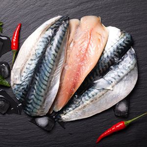 국내산 자반 참고등어 10손 20마리 (한손당 550g)