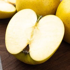 국내산 시나노골드 (알) 황금사과 정품 2kg (7-9과)