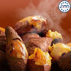 [삼남매네]해남 25년 햇 꿀고구마 특상 5KG