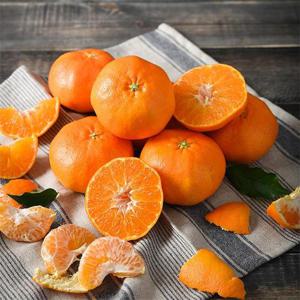 제주 고당도 레드향 4.5kg 중소과(30과내외)