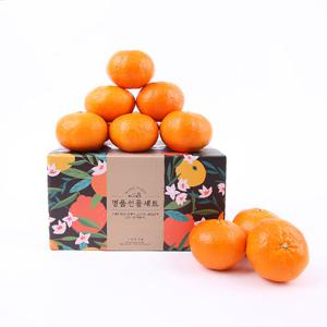 제주 고당도 블랙라벨 레드향 중소과 4.5kg 35과 내외 벌크