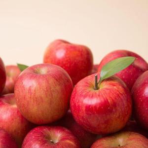 갤러리아_가정용 햇 부사 사과 8kg 소과