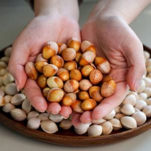 [무농약인증]국내산 토종 피은행 중 3kg